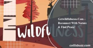 Getwildfulnesss.Com – Reconnect With Nature & Find Peace!