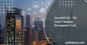 Zurzut423.54 – The Game-Changing Development Tool!